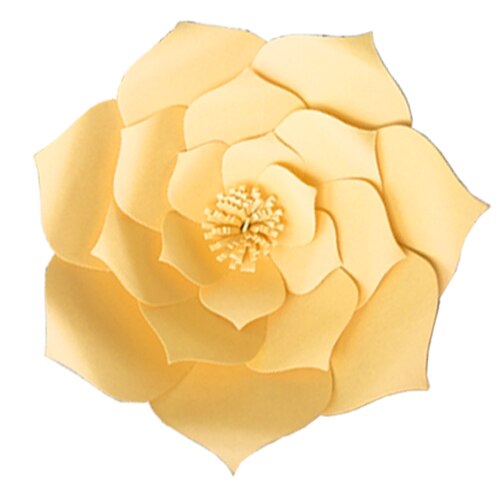 Creative Paper Flower Two Piece Set (20cm)