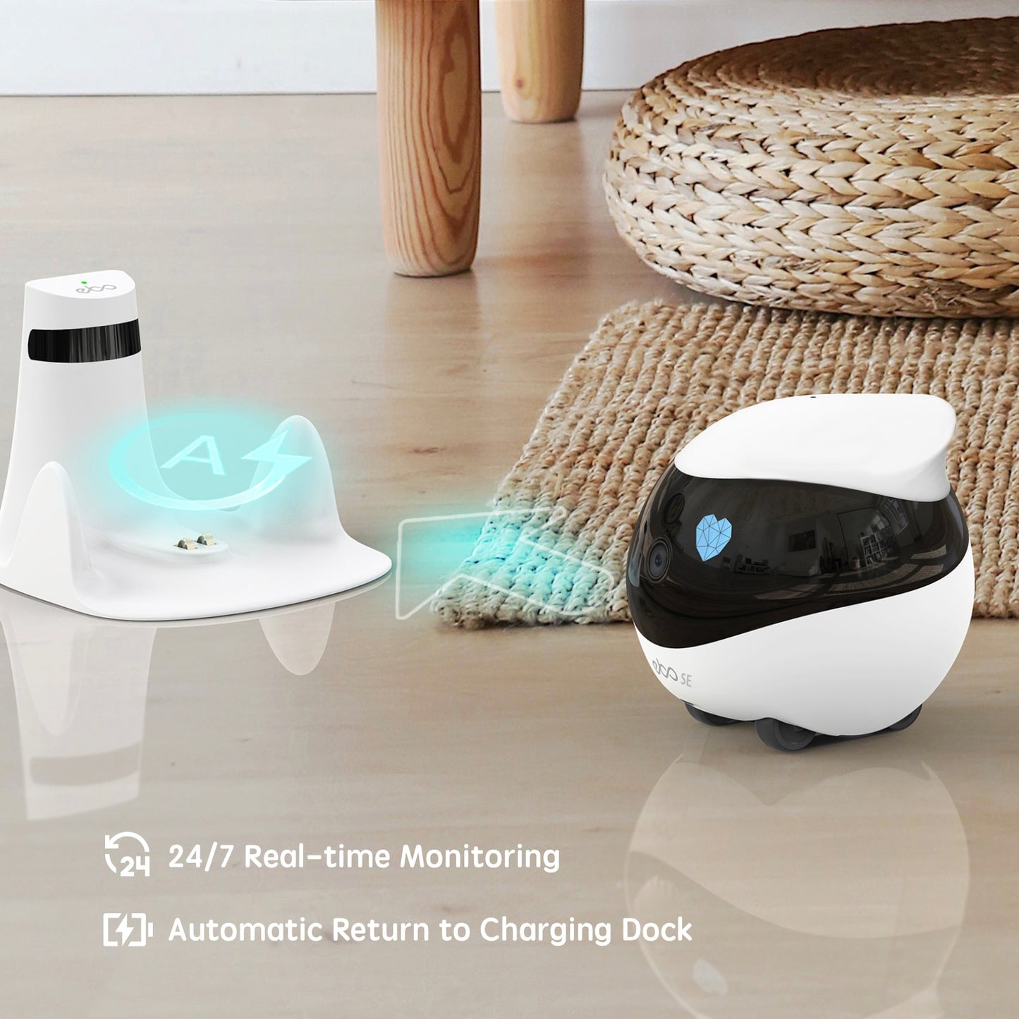 Pet Movie Smart Pet Camera