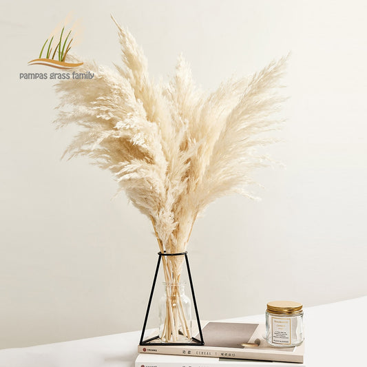 Pampas Grass Bouquet Home Decor