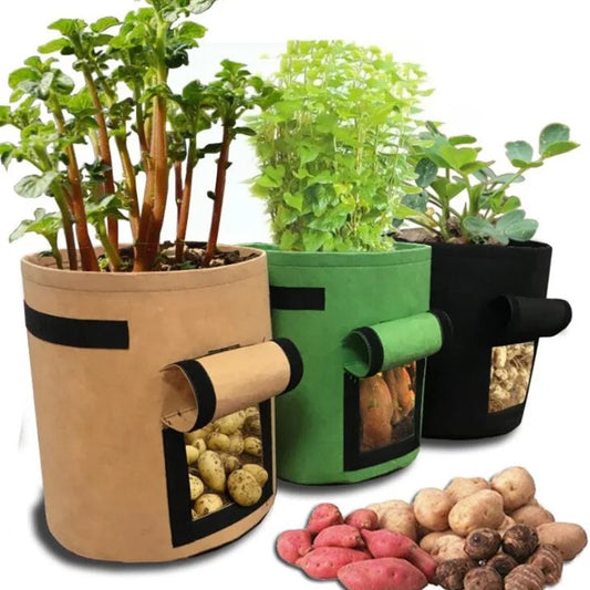 Potato & Garden Plant Grow Bag