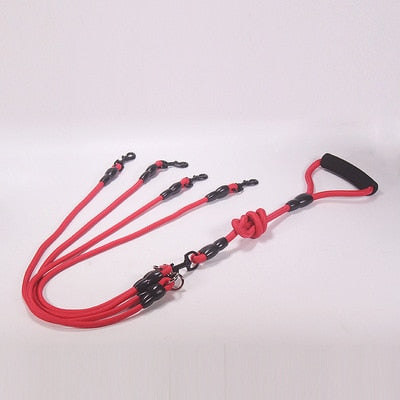 Multi Head Pet Leash