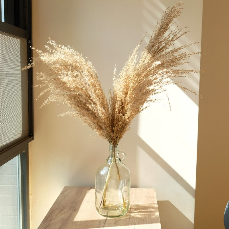 Pampas Grass Home Decor