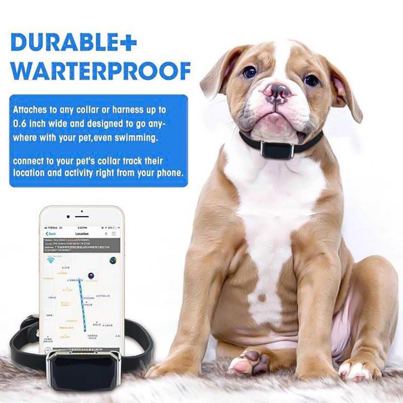 Pet Locator Tracking Collar