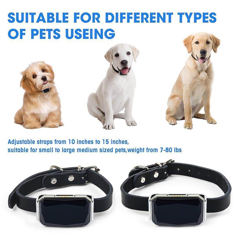 Pet Locator Tracking Collar