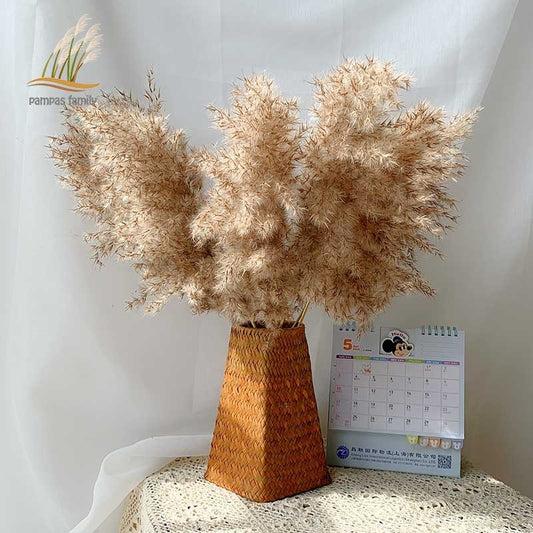 Pampas Grass Home Decor