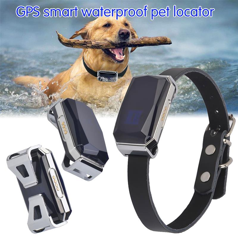 Pet Locator Tracking Collar