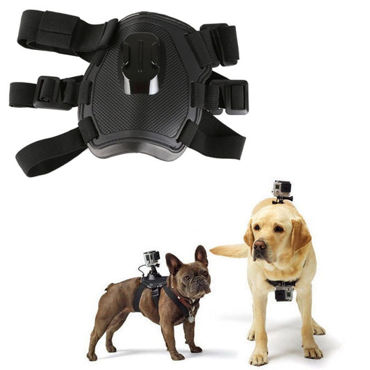 Pet Camera Mount Accessory