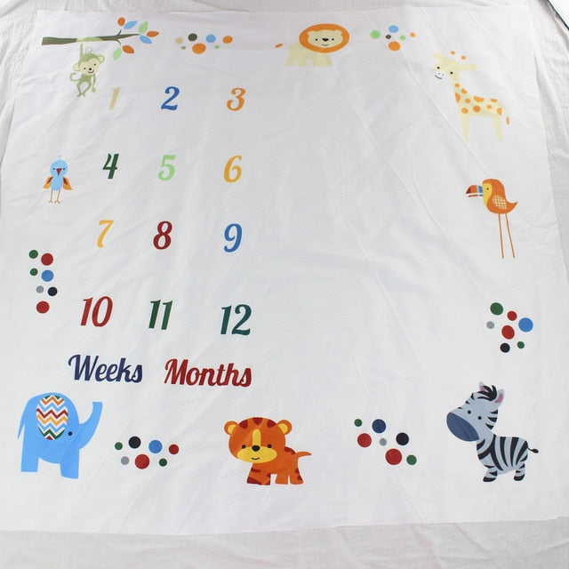 Baby Milestone Photo Op Blankets