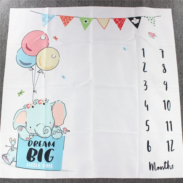 Baby Milestone Photo Op Blankets