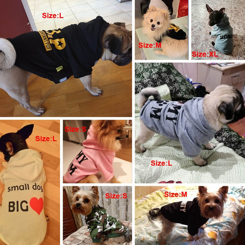 Cute Security Guard Dog Sweater