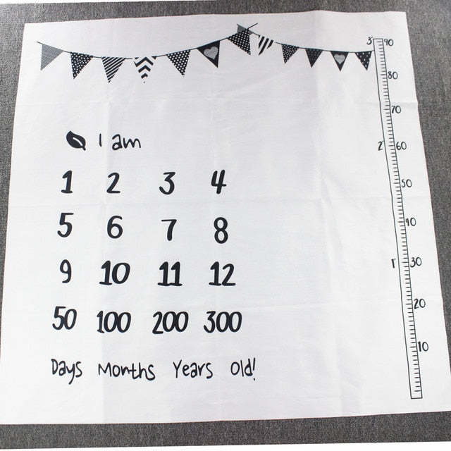 Baby Milestone Photo Op Blankets