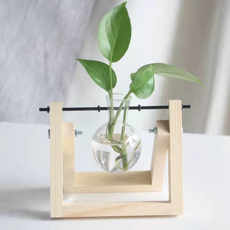 Hanging Potted Plant For Home Décor