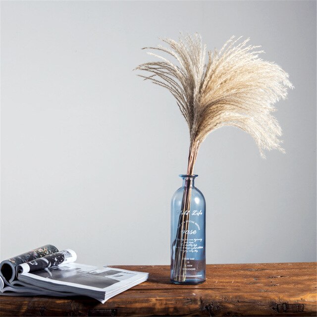 Pampas Grass Home Decor