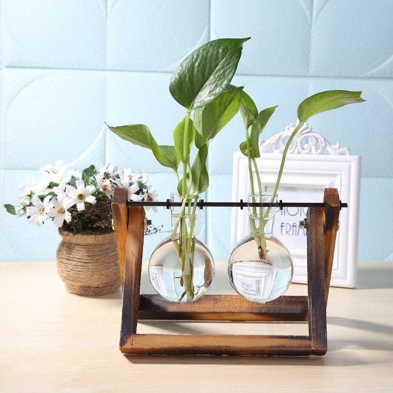 Hanging Potted Plant For Home Décor