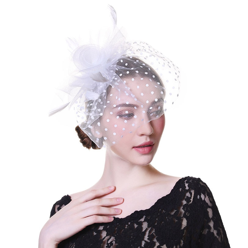 Lavish Net Fascinator Hat