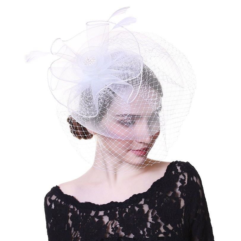 Lavish Net Fascinator Hat