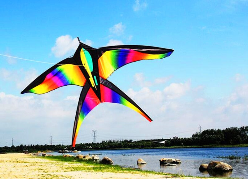 Spectrum Soarer Eagle Kite With 100M Flying Line