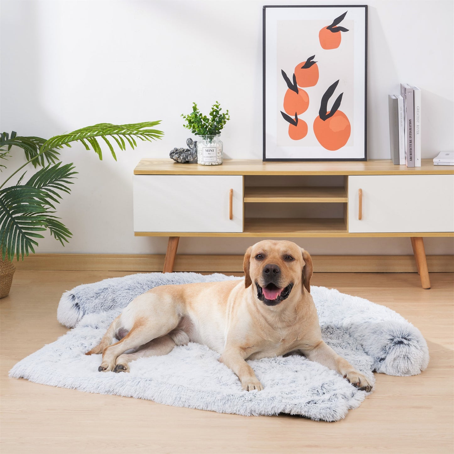 Washable Plush Pet Throw Bed