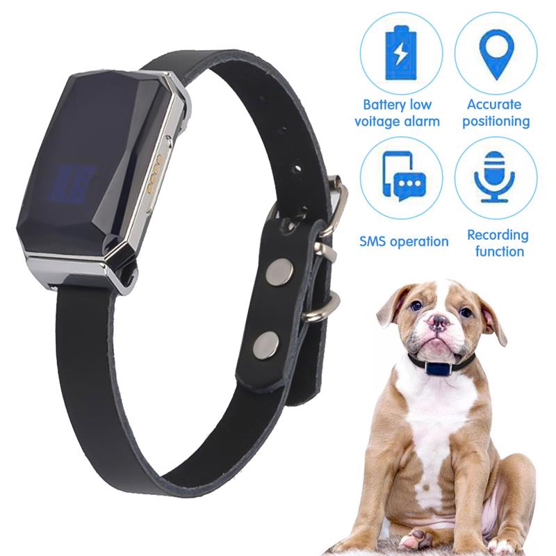 Pet Locator Tracking Collar