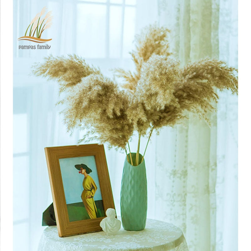 Pampas Grass Home Decor