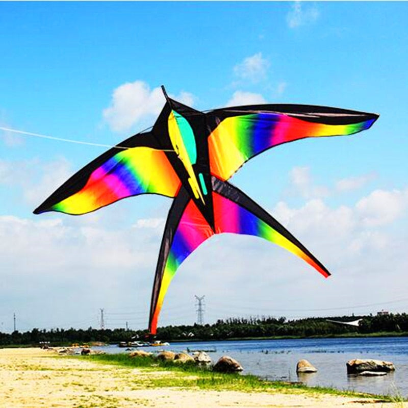 |14:29#Kite with 100m line