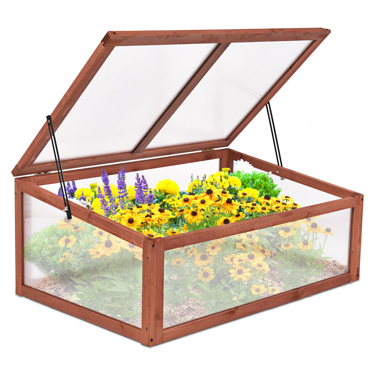 Portable Green House Garden