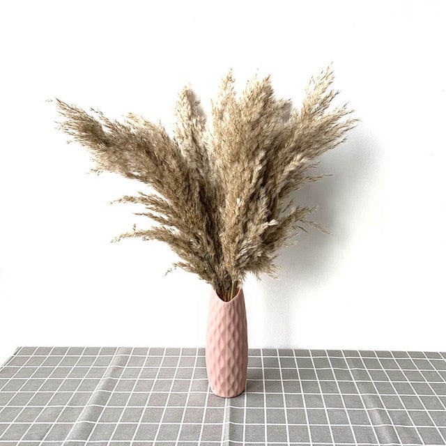 Pampas Grass Home Decor