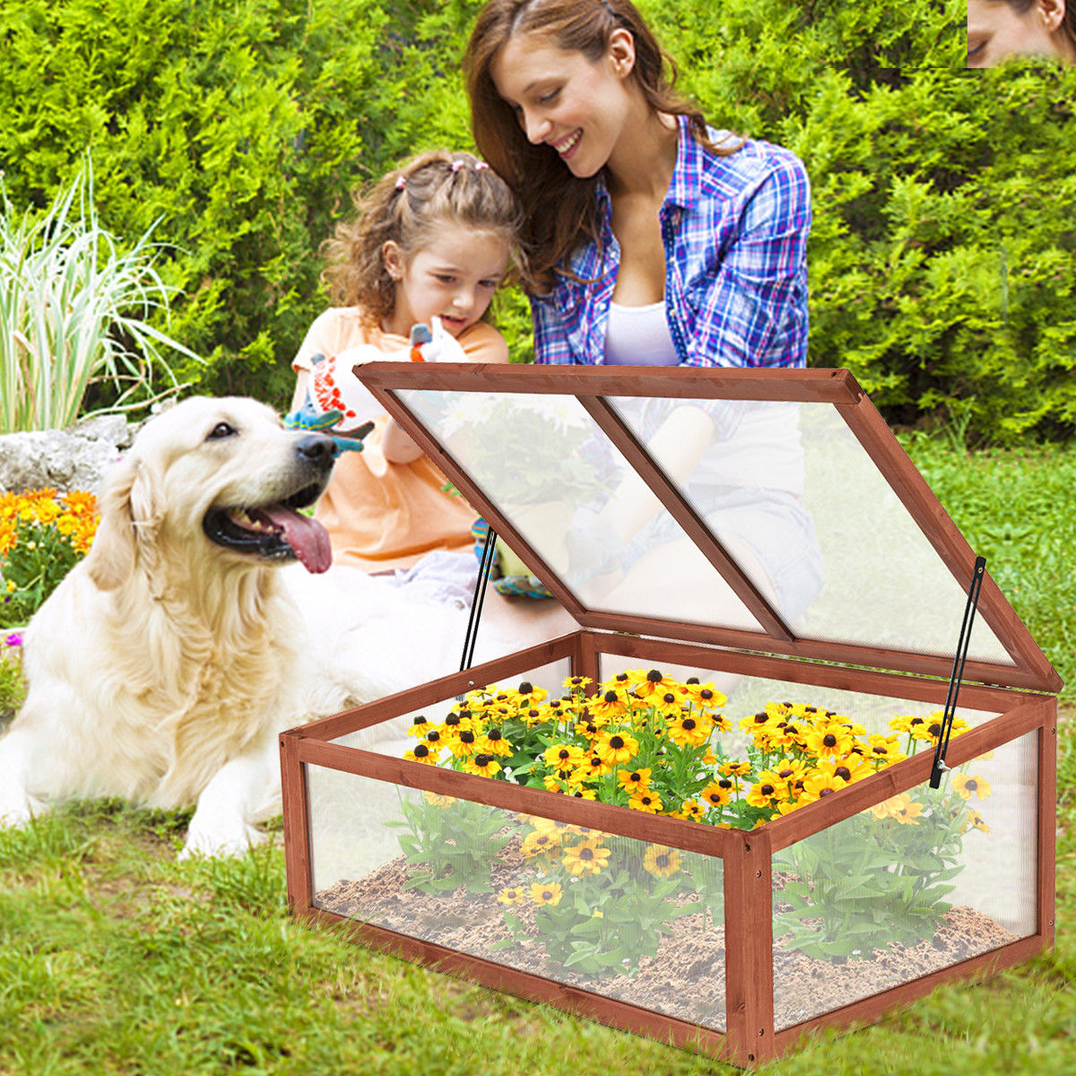 Portable Green House Garden