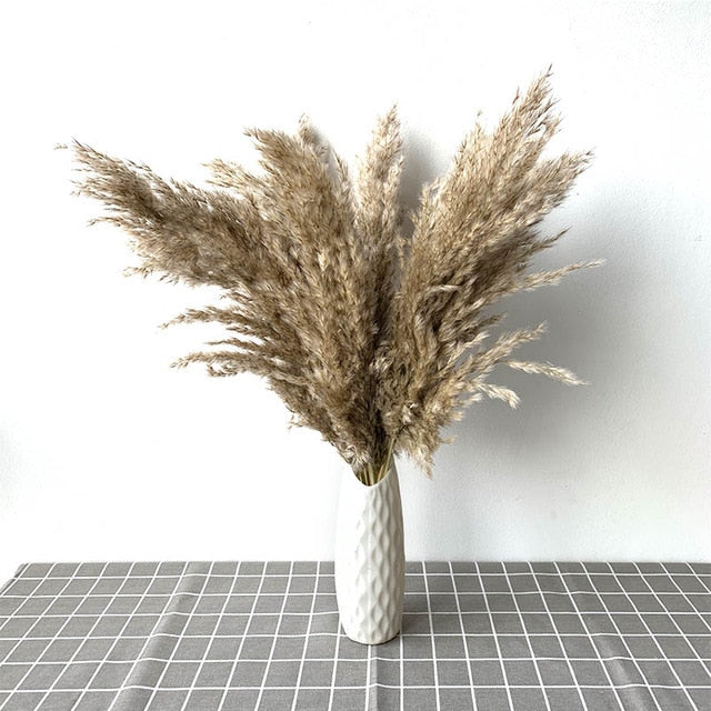 Pampas Grass Home Decor