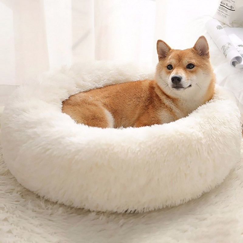 Plush Pet Cushion