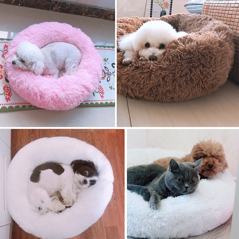 Plush Pet Cushion