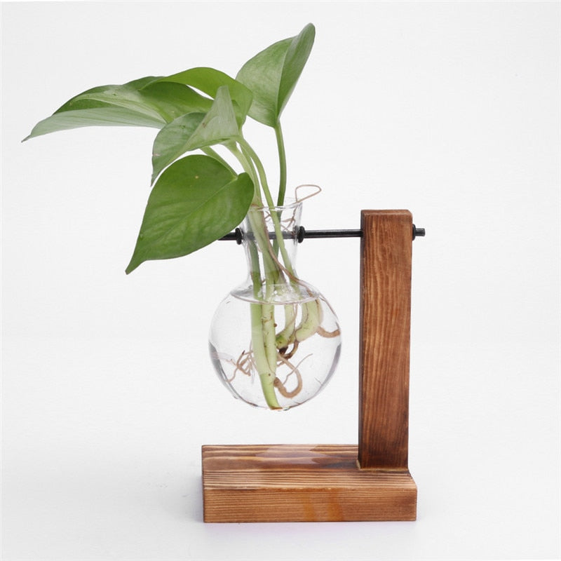 Hanging Potted Plant For Home Décor