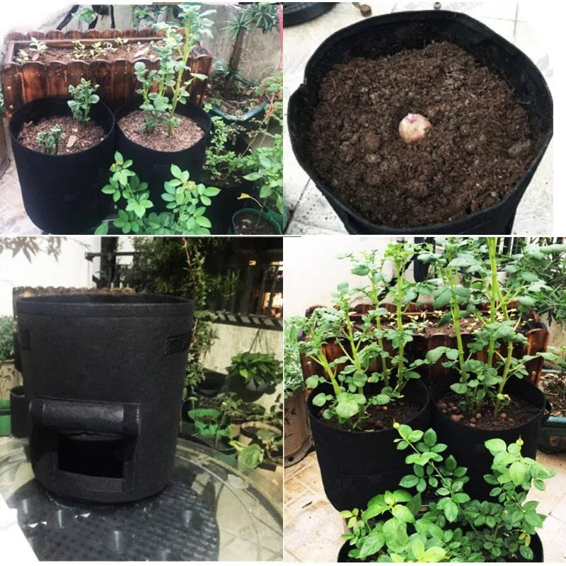 Potato & Garden Plant Grow Bag