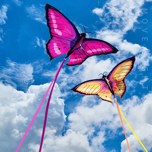 Adventure Butterfly Kite