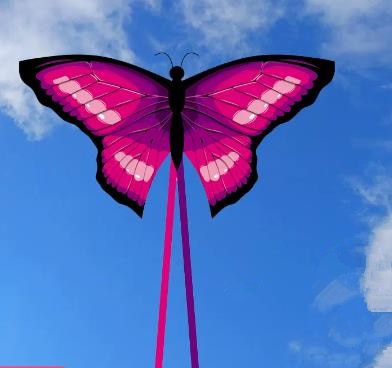 Adventure Butterfly Kite