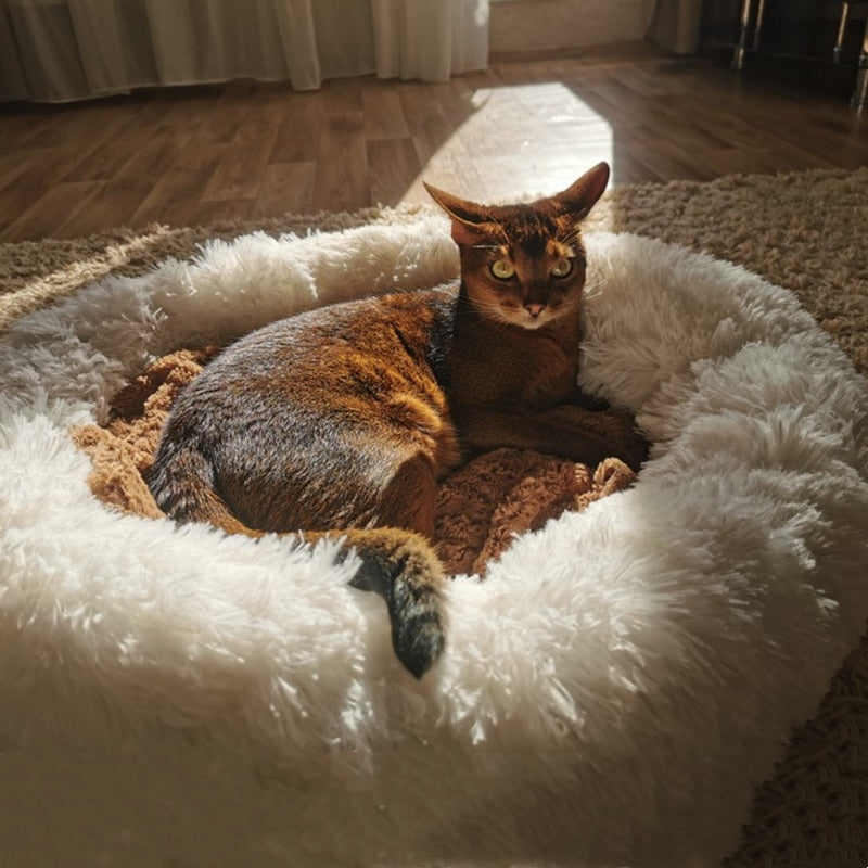 Comfy Pet Cushions