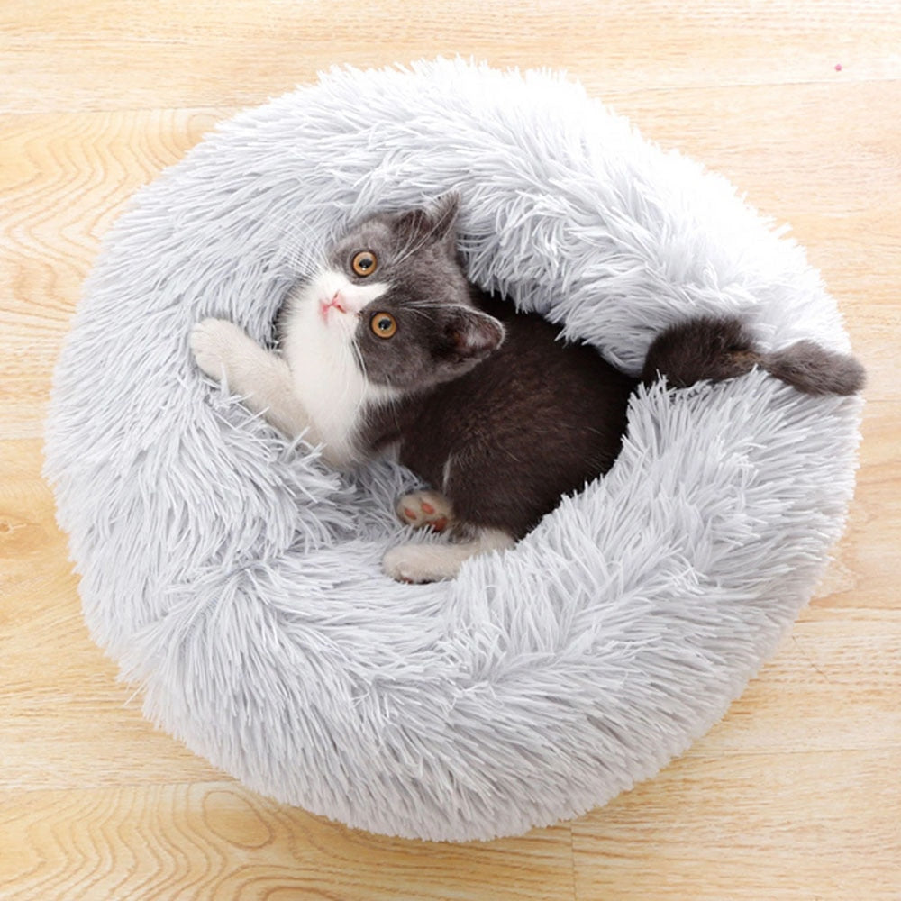 Fluffy Pet Cushion