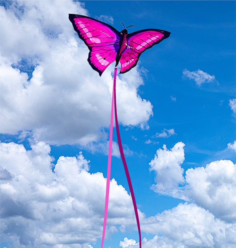 Adventure Butterfly Kite