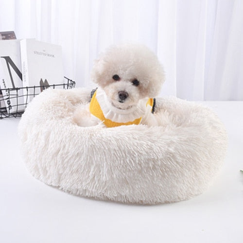 Fluffy Pet Cushion