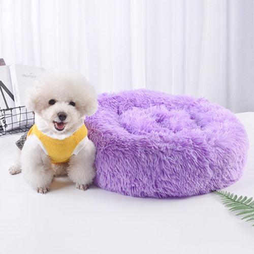 Fluffy Pet Cushion