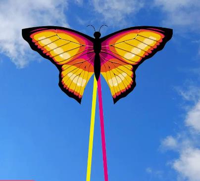 Adventure Butterfly Kite