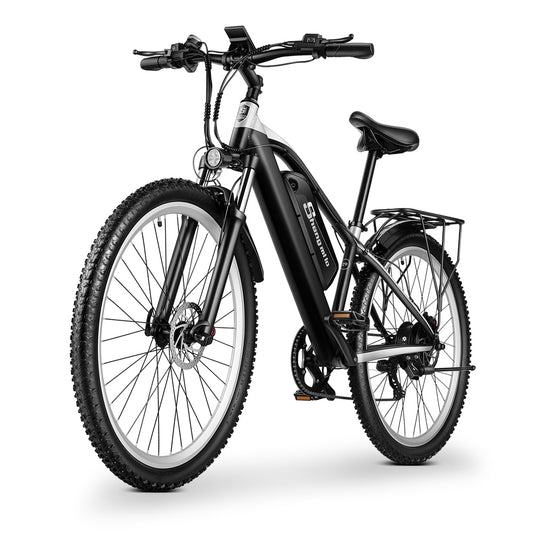 Adult Electric 29 Inch Bicycle