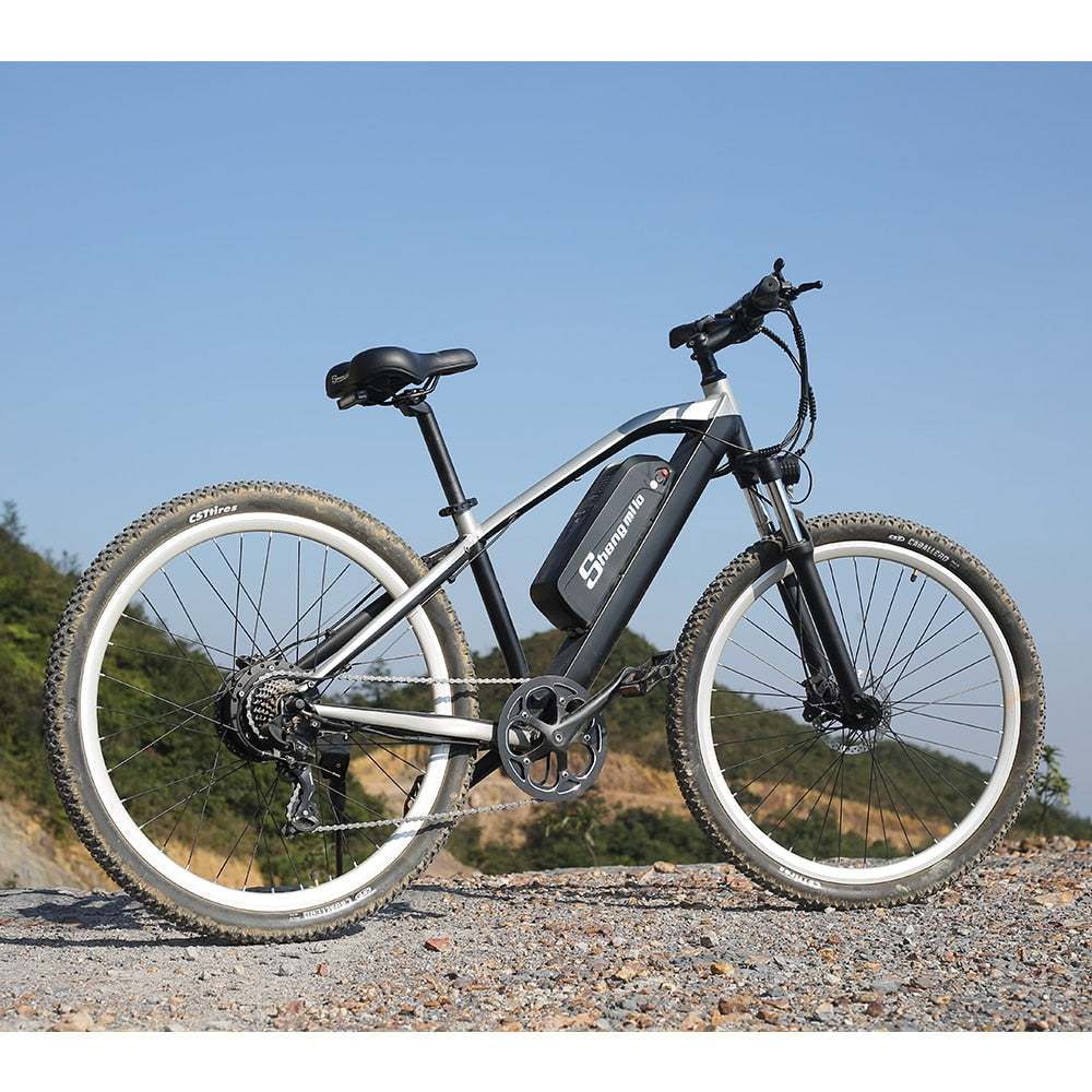 Adult Electric 29 Inch Bicycle